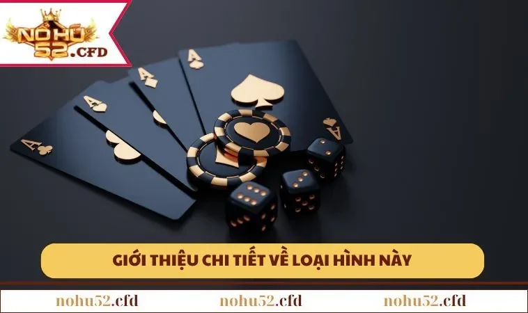 Giới thiệu chi tiết về loại hình này