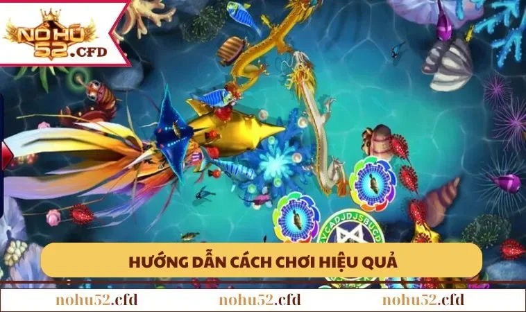 Hướng dẫn cách chơi hiệu quả